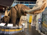 San Bernardino County Museum photo 4