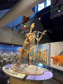 San Bernardino County Museum photo 5