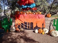 Lubbock Memorial Arboretum photo 3