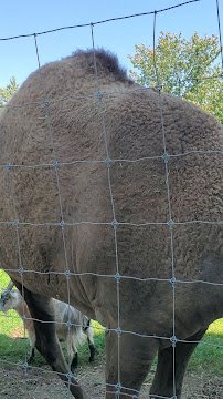 Greenview Park & Zoo photo 2