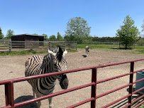 Greenview Park & Zoo photo 4