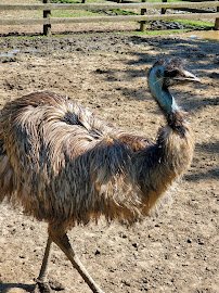 Greenview Park & Zoo photo 5