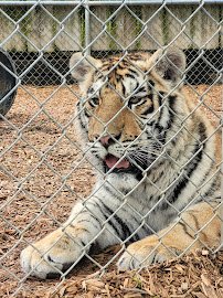 Greenview Park & Zoo photo 6