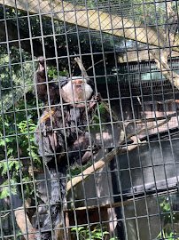 Trevor-Lovejoy Zoo at Millbrook School photo 6