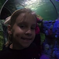 SEA LIFE Charlotte-Concord photo 2