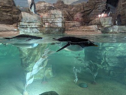 Zoofari Center photo 2