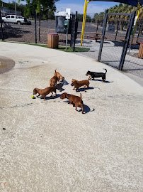 Pavo Real Park Spray Park photo 4