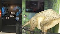Creation & Earth History Museum & Bookstore photo 2