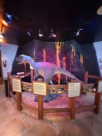 Creation & Earth History Museum & Bookstore photo 6