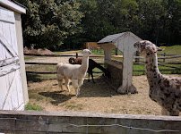 Charmingfare Farm photo 6