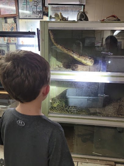 Snake World photo 2