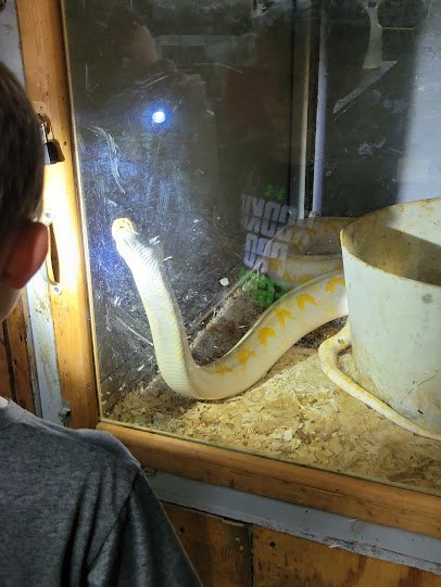 Snake World photo 3