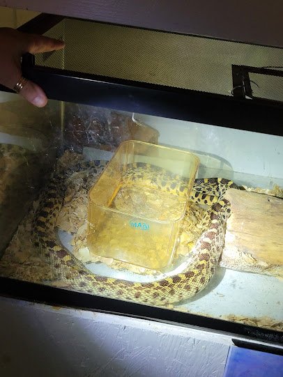 Snake World photo 4