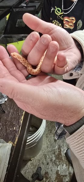 Snake World photo 5