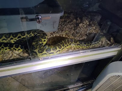 Snake World photo 6