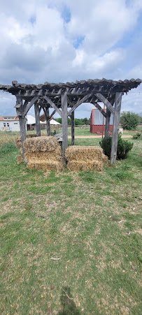 Petting Zoo
