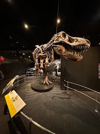 Center of Science and Industry (COSI) photo 3