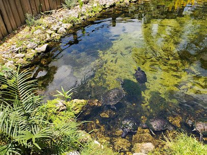 The Fish Hole at Lakewood Ranch photo 6