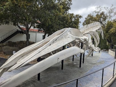 Santa Barbara Museum of Natural History photo 4