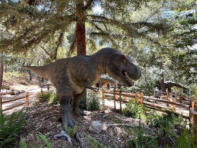 Santa Barbara Museum of Natural History photo 6
