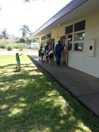 Pegasus Ponies & Petting Zoos photo 4