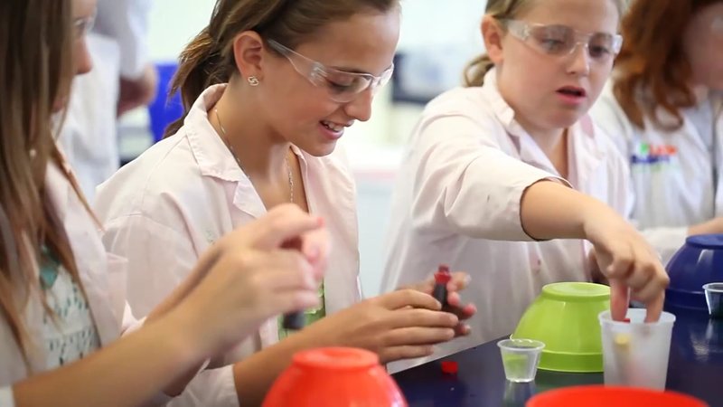 Little Beakers - Cypress photo 2