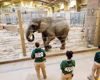 Elephant Family Quarters