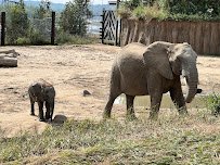 Elephant Family Quarters photo 3
