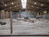 Elephant Family Quarters photo 4