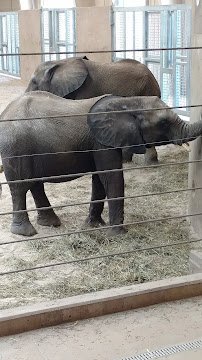 Elephant Family Quarters photo 6