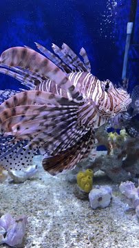 UGA Marine Education Center and Aquarium photo 2