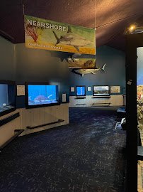 UGA Marine Education Center and Aquarium photo 3