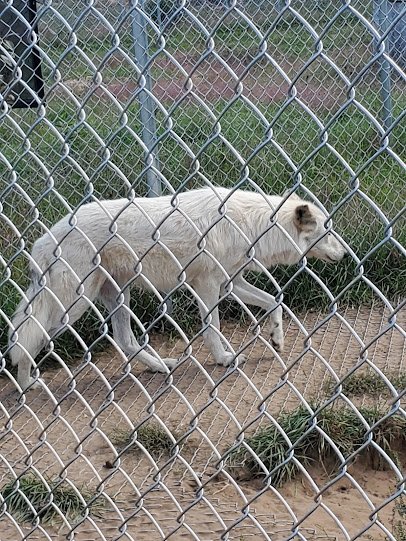 Wildlife Science Center