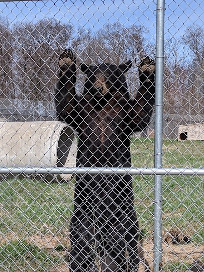 Wildlife Science Center photo 3