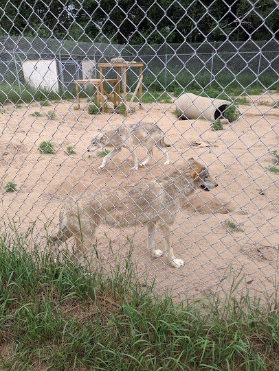 Wildlife Science Center photo 5