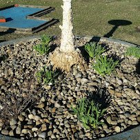 Miner Mini Golf photo 6