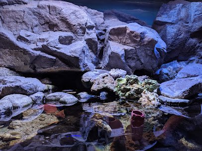 Lake Erie Nature & Science Center photo 6