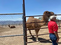 Utah Petting Zoo at Ivie Acres Farm photo 2