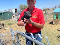 Utah Petting Zoo at Ivie Acres Farm photo 5