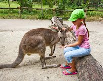 Utah Petting Zoo at Ivie Acres Farm photo 6