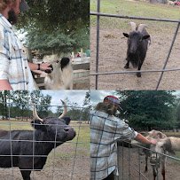 Petting zoo and farm photo 5