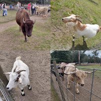 Petting zoo and farm photo 6