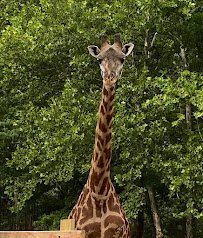 Lehigh Valley Zoo photo 4