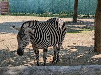 Lehigh Valley Zoo photo 5