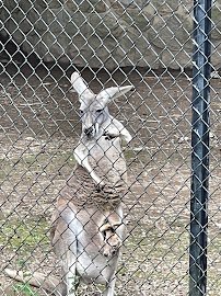 Lehigh Valley Zoo photo 6