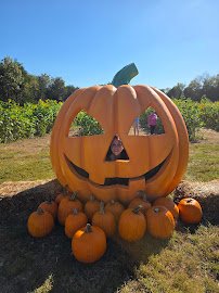 Lucky Ladd Farms - Farm Park & Zoo photo 4