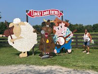 Lucky Ladd Farms - Farm Park & Zoo photo 5