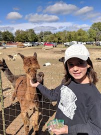 Lucky Ladd Farms - Farm Park & Zoo photo 6