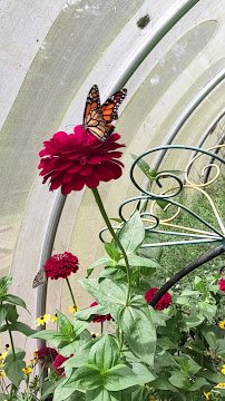 Beech Creek Botanical Garden & Nature Preserve photo 2