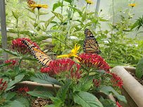 Beech Creek Botanical Garden & Nature Preserve photo 4